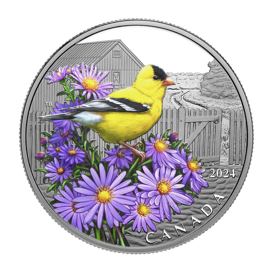 1 oz 2024 $20 Colourful Birds: American Goldfinch - Pure Silver Coin