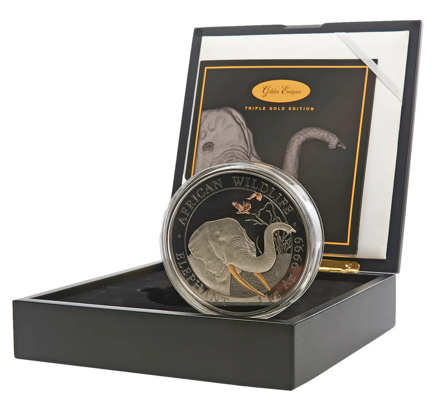 1 kg 2018 2000 Schillings Golden Enigma: Somalia Elephant Coin