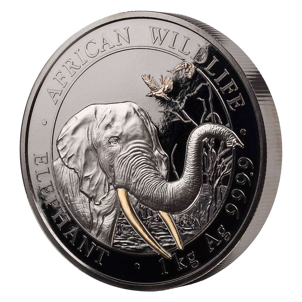 1 kg 2018 2000 Schillings Golden Enigma: Somalia Elephant Coin
