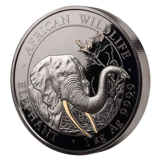 1 kg 2018 2000 Schillings Golden Enigma: Somalia Elephant Coin