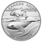 1 oz $100 for $100 Fine Silver Coin – Orca (2016)