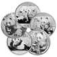 1 oz Silver Panda Coin - Random Year - .999 Ag - China Mint