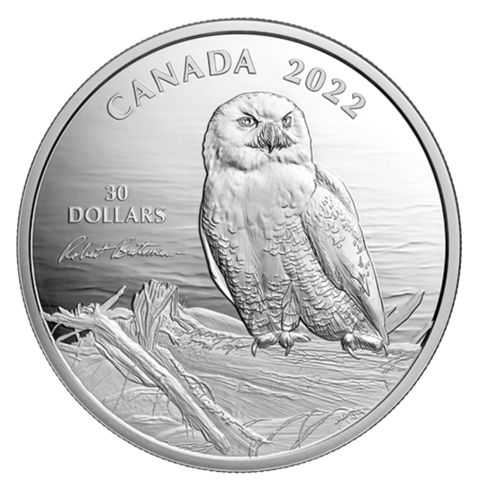 2 oz. Fine Silver Coin – Snowy Owl on Driftwood by Robert Bateman - Royal Canadian Mint .9999 Ag (Mintage: 4500)