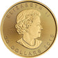 1/2 oz Gold Maple Leaf Coin - Random Year- Royal Canadian Mint - RCM .9999 Au