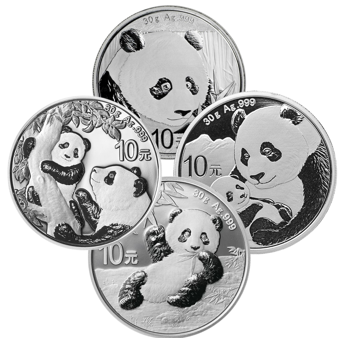 30 gram Silver Panda Coin - Random Year - .999 Ag - China Mint