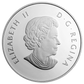 1/2 oz. Fine Silver Coin - Harlequin Duck - Mintage: 10,000 (2014)