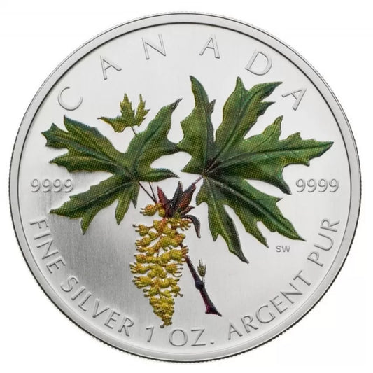 $5 Coloured Silver Maple Leaf: Bigleaf Maple - 1 oz. Fine Silver Coin (2005)