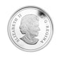 1 oz Fine Silver Coin - Autumn Bliss - Mintage: 7500 (2013)