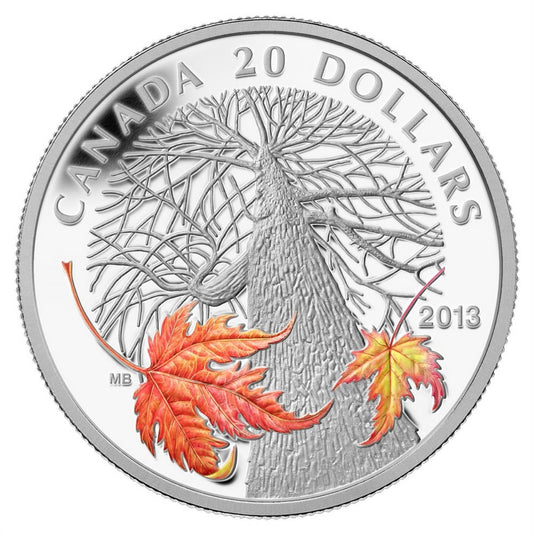 Fine Silver Coin - Canadian Maple Canopy (Autumn) - Mintage: 7,500 (2013)