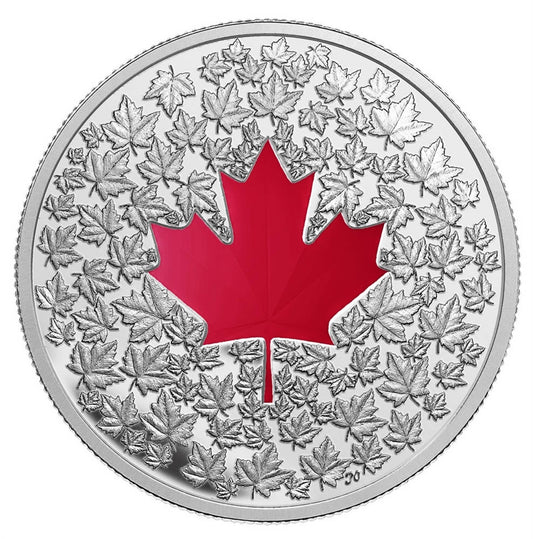 $20 Fine Silver Coin - Maple Leaf Impression (2013)
