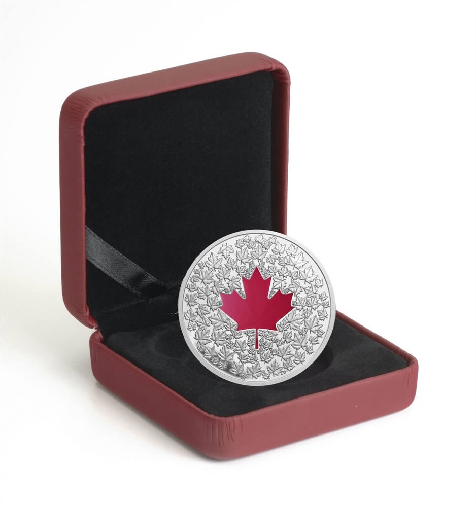 $20 Fine Silver Coin - Maple Leaf Impression (2013)