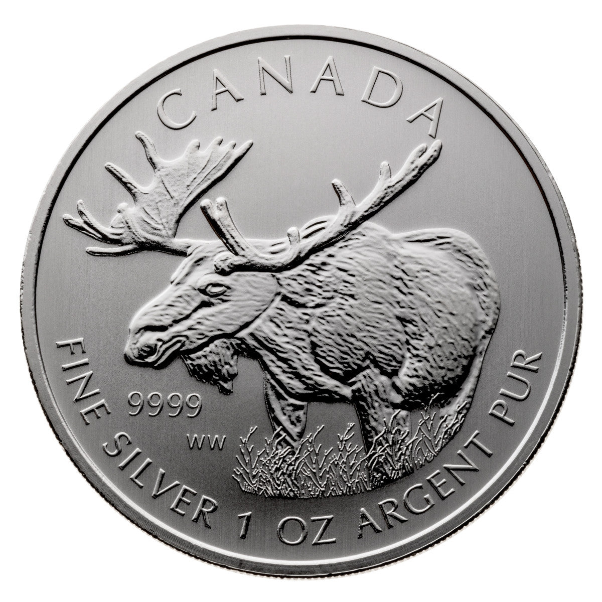 $5 Moose Silver Coin and Stamp Set (2012)