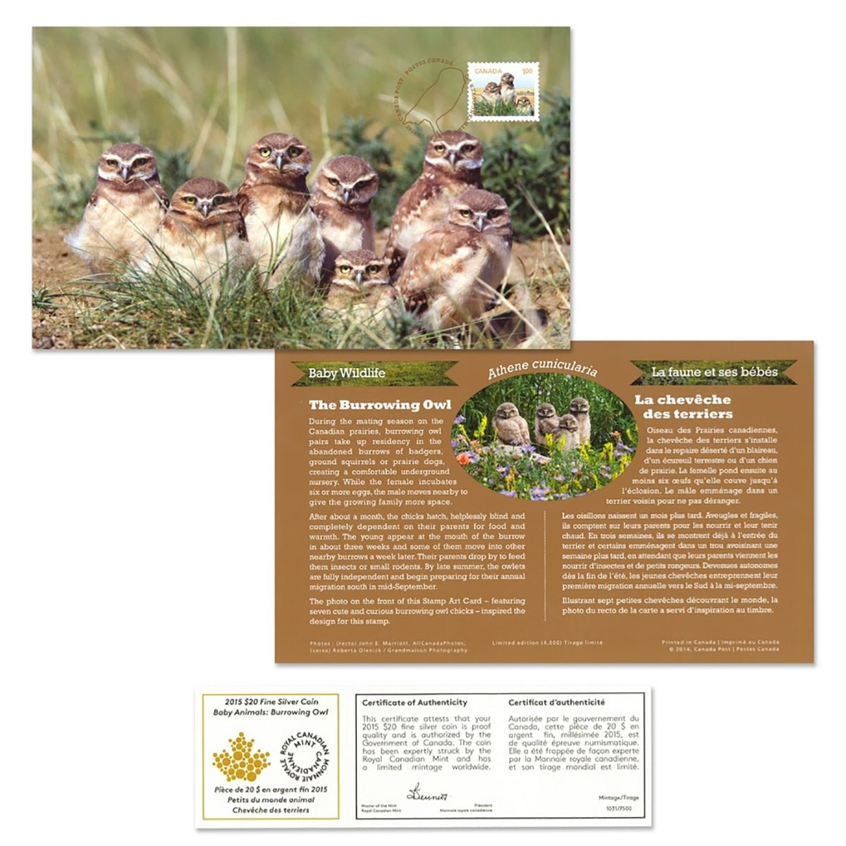 Burrowing Owl - Baby Animals - 2015 Canada 1oz Pure Silver Coin and Stamp Set - Royal Canadian Mint