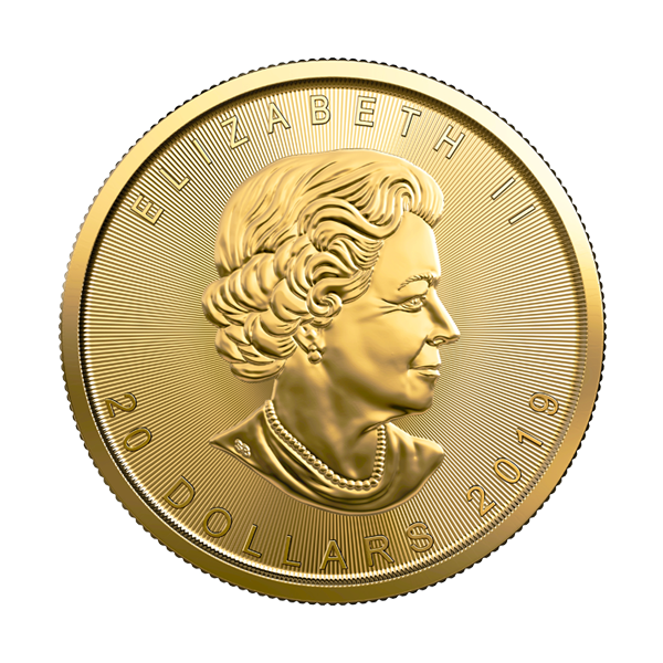 Buy 1/2 Oz 2019 Gold Maple Leaf Coin Royal Canadian Mint Obverse