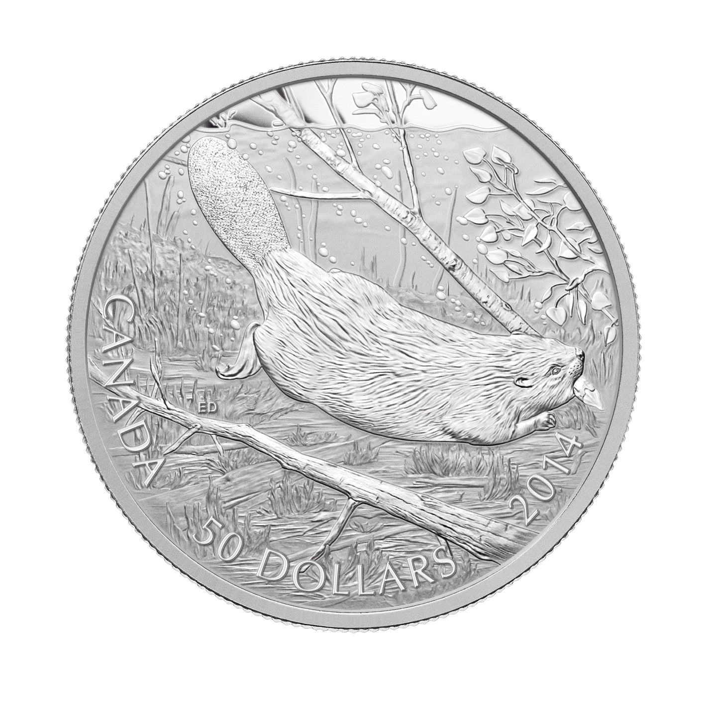 Swimming Beaver - 2014 Canada 5 oz Pure Silver Coin - Royal Canadian Mint