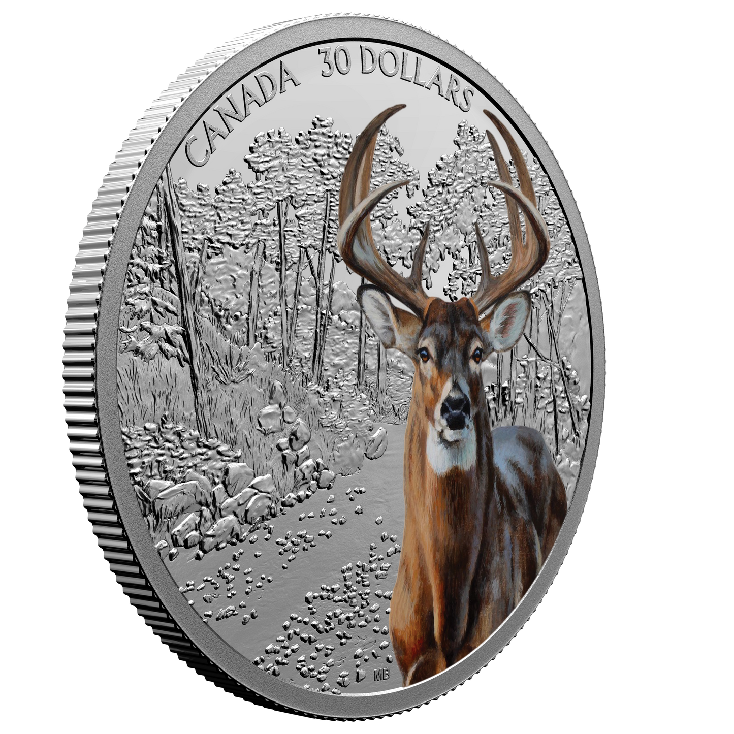 White-Tailed Deer - Imposing Icons - 2021 Canada 2 oz Silver Coin - Royal Canadian Mint